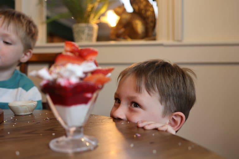 Cover Image for Your Kids Eat Free This Half Term at The Jobber's Rest